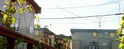 Quartier de logements provisoires à Watari Cho en 2015