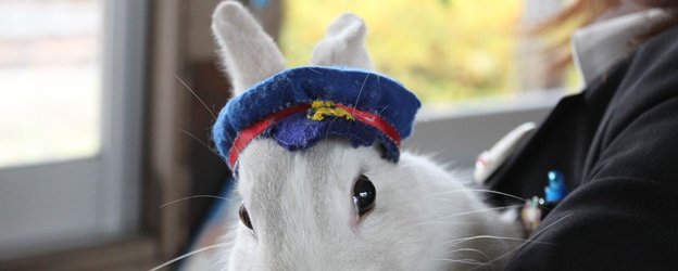 Peter Rabbit
