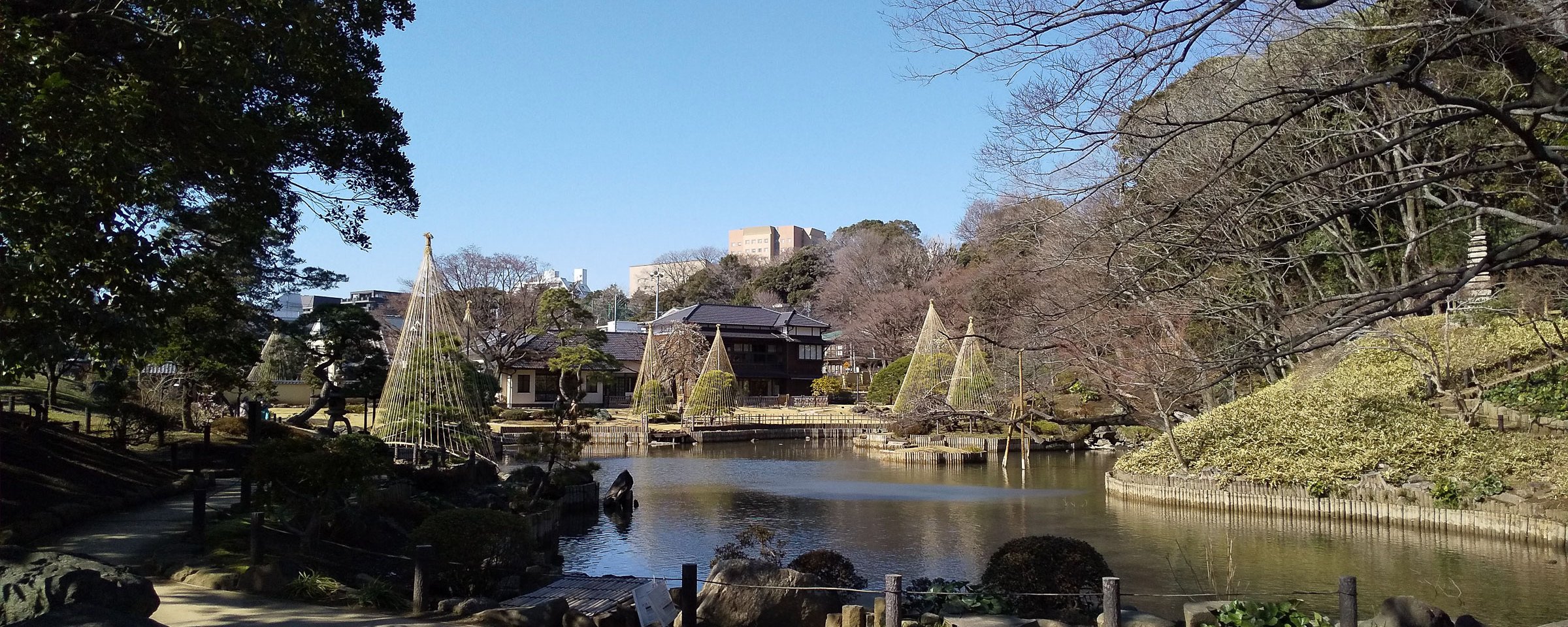 Jardin Japonais à côté de la maison MEP